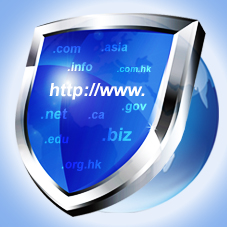 Safeguarding Your Domain Name