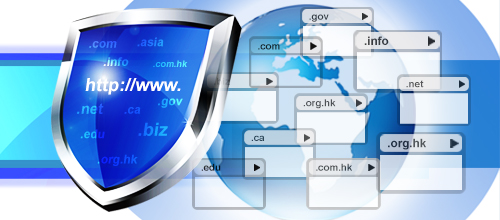 Safeguarding Your Domain Name